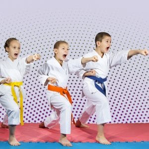 Martial Arts Lessons for Kids in Brampton ON - Punching Focus Kids Sync