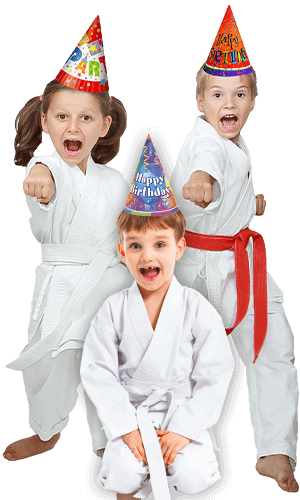 Martial Arts Birthday Party for Kids in Brampton ON - Birthday Punches Page Banner